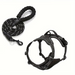 2pcs Dog Harness